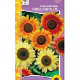 Подсолнечник  Смесь окрасок Подсолнечник  Смесь окрасок